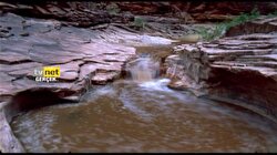 TVNET Naturel 4