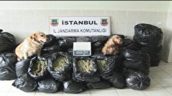 Uyuşturucu Operasyonu