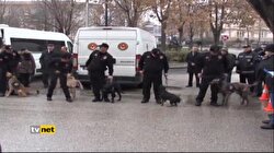 DEDEKTÖR KÖPEKLER