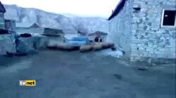 ARABA GÖREN MASUM KOYUN