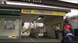 JAPONYA'DA GERGEDAN YAKALAMA TATBİKATI