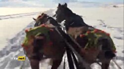 Ardahan'da Donan Gölde Kızak Keyfi