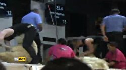 KOYUN KIRKMA YARIŞMASI