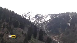 2B YASALAŞTI