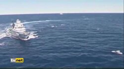 GÜNEY KORE BALİNA AVINA BAŞLIYOR