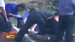 RUSYA'DA KÖPEK DEHŞET SAÇTI