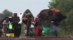 KONGO KAÇAKLARI