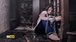 PANİK SEVGİ BUTONU FATMA ŞAHİN