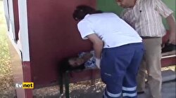 KADINA ŞİDDETE 25YI