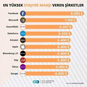 Bir stajyer 'en fazla' ne kadar kazanabilir?