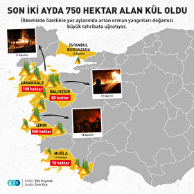 Son iki ayda 750 hektar alan kül oldu
