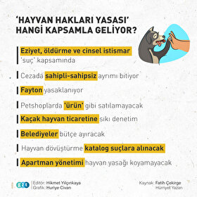 Hayvan Hakları Yasası