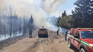 İzmir’de orman yangını kontrol altına alındı