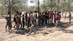 Fıstık bahçesinde saklanan 28 kaçak göçmen yakalandı