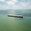 Tahıl yüklü Rus gemisi Karasu'dan ayrıldı