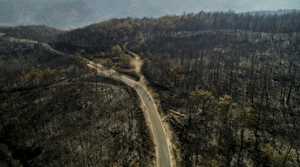 Aftermath of forest fire in Turkey's Antalya
