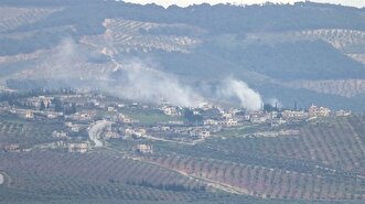 Turkey's Operation Olive Branch in Syria's Afrin