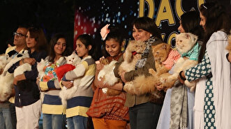 Posh cats and dogs show off in Pakistan beauty contest