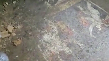 2,700-year-old mosaic found in western Turkey