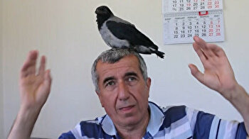 Compassionate Turkish family cares for crow chick fallen from nest