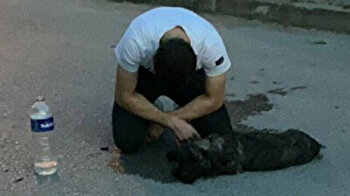 Man sobs after his dog gets knocked by car in Turkey
