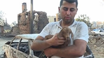 'Miracle' baby goat born during massive forest fire in southern Turkey