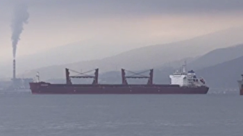 Ukraine's corn-laden ship 'Arizona' arrives at Turkish port