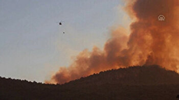 Firefighters battle to tame forest fire in southern Türkiye
