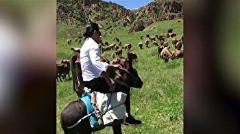 Salt Bae returns to Turkish hometown on donkey-back