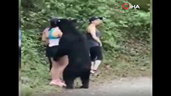Women braver than Leonardo Dicaprio take selfie with bear in Mexico