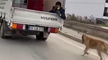 Cruel man drags dog behind truck with leash in Turkey