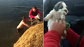 Brave man rescues drowning puppy in Turkey’s Van