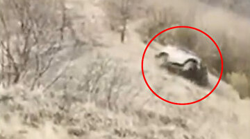 Off-road yarışında feci kaza: 100 metre yüksekten ağaçlık alana yuvarlandı