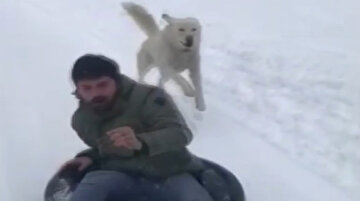 Karda eğlenmek isterken peşine köpek takıldı