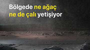 Dünyanın sonuna kısa bir yolculuk: Sabetta Kasabası