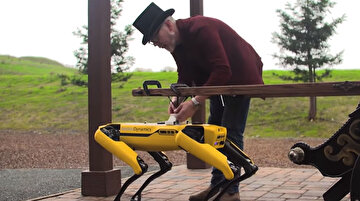 Boston Dynamics'in robotu 'fayton' çekiyor