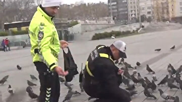 Taksim Meydanı'nda aç kalan güvercinleri trafik polisleri besledi