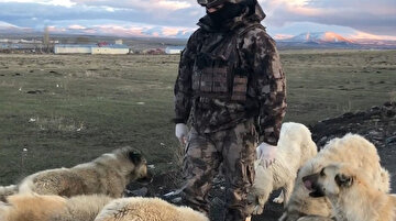 Özel Harekat Polisleri kumanyasını aç kalan sokak köpekleriyle paylaştı