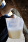 Antalya’daki çiftliklerde üretilen, kanserden mide rahatsızlıklarına birçok hastalığa faydalı olduğu öne sürülen ve litresi 80-100 liradan alıcı bulan eşek sütünün, bilimsel olarak kanıtlanmış hiçbir faydası olmadığı ortaya çıktı.
