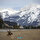 Kanada'nın Alberta kentinde buzullar, kaplıcalar, göller, şelaleler ve dağlardan oluşan ve ülkedeki en büyük ulusal park olan Jasper Milli Parkı kış aylarının gelmesiyle güzel görüntü oluşturdu. Parktaki Kanada geyikleri dikkat çekti. (Mert Alper Derviş - Anadolu Ajansı)