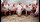 ÇİFTLİK DOMUZU
Geçmişte ortaya çıkan birçok salgın hastalık ile ilişkilendirilen çiftlik domuzunun aynı anda birden fazla koronavirüsü bünyesinde barındırabildiği açıklandı. Bilim insanları bu durumun yeni hastalıklar çıkmasına neden olabileceği konusunda uyarıda bulundu.