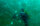 Ercan Akpolat, Serço Ekşiyan, Ateş Evirgen ve AA Foto Muhabiri Şebnem Coşkun'dan oluşan dalış ekibi Tavşan Adası olarak da bilinen Neandros açıklarında denizdeki müsilajın ulaştığı boyutu görüntüledi.

