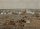 İslâm’da iki Harem bölgesinden biri, hicret yurdu, aydınlık Medine şehri. Hz. Peygamber’in mescidiyle kabrinin bulunduğu Mescid-i Nebevî’nin (Mescid-i Nebî) yüksek bir açıdan çekilmiş fotoğrafı, 1907 civarı.