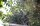 İhbar üzerine Milas Milli Parklar Müdürlüğü ve Bodrum Belediyesi görevlileri bölgeye geldi. Görevliler, sırık, kepçe ve ağlarla dut ağacındaki hayvanı kurtarmaya çalıştı.

İguana korkuyla önce zeytin ağacına ardından yan taraftaki çam ağacına geçti.