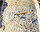 Diyarbakır'ın Çınar ilçesi yakınlarındaki UNESCO Dünya Mirası Geçici Listesi'nde yer alan ve kazı çalışmaları yürütülen Zerzevan Kalesi'nde kemik flüt ve bronz anahtarlı yüzük ortaya çıkarıldı. İki parça halinde bulunup birleştirilen flüt, küçükbaş hayvanın bacak kemiği üzerine yuvarlak delikler açılarak kullanıldığı öğrenilirken, yüzeyinde biri kırık altı adet delik görülen flüt MS 4-5. yüzyıla tarihlendirildiği ve 1600 yıllık olduğu ortaya çıktığı belirlendi.<br><br>