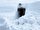 Muş'un 1600 rakımlı Yukarıyongalı köyünde kar esareti yaşanıyor. Kar kalınlığının 1,5 metreye ulaştığı köyde evler ve araçlar tamamen kara gömülürken, sokaklarda küreklerle yol açan köylüler kardan tüneller oluşturdu.<br>