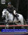 İhtisas eğitimleri yapılan genç atlar, yeteneklerine göre sportif amaçlı olarak ya da törenlerde görevlendiriliyor