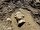 Son kazı çalışmalarında 2 metre 10 santim yüksekliğindeki erkek heykelini korumaya alan arkeologlar, Yunan mitolojisinde aşk tanrısı olarak bilinen 'Eros', şarap tanrısı 'Dionysos' ve yarı tanrı 'Herakles'in heykel başlarını gün yüzüne çıkardı.<br>Penkalas Çayı'ndaki kazılarda Roma dönemine ait 2 No'lu mermer köprünün restorasyonunun tamamlandığını kaydeden Kütahya Dumlupınar Üniversitesi Arkeoloji Bölümü'nde görevli, Kazı Başkanı Prof. Dr. Gökhan Coşkun, tamamen yıkılan 3 No'lu köprüde çalışmaların sürdüğünü söyledi. Her gün yeni esere ulaşıldığına dikkat çeken Coşkun, “2022 yılında köprünün bulunduğu alanda yaptığımız çalışmalarda bizi oldukça heyecanlandıran sürpriz buluntularla karşılaşmaya devam ettik.