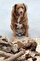 Portekiz'de 11 Mayıs 1992'de dünyaya gelen ve safkan bir Alentejo Çoban Köpeği olan Bobi'nin 'dünyanın gelmiş geçmiş en yaşlı köpeği' rekorunu kırdığı ve ayrıca 'yaşayan en yaşlı köpek' olduğu açıklandı.
