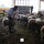 NKÜ'nün Köseilyas İşletmesinde Türkgeldi, merinos ve kıvırcık cinsi koyunların bulunduğunu belirten Yılmaz, ırkı korumak amaçlı bulunan kıvırcık koyunların Kurban Bayramı kapsamında satışta olduğunu söyledi.